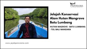 Hutan Mangrove Bali
