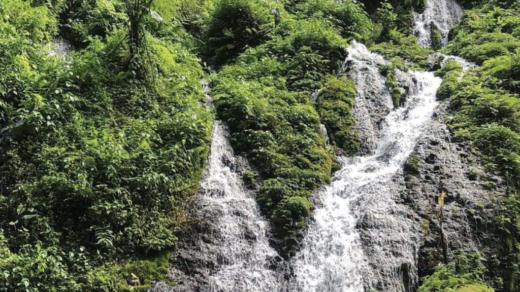 2688004571-1024x576 Air Terjun Pelisan, Surga Tersembunyi di Kintamani