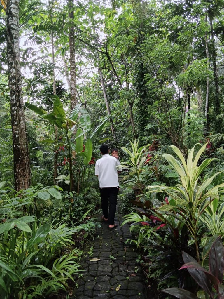 WhatsApp-Image-2025-11-29-at-09.34.52-768x1024 Kusfarm Bali, Hidden Gem Penginapan yang Tenang dan Nyaman di Tabanan