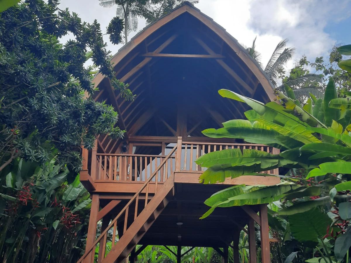 WhatsApp-Image-2025-12-27-at-11.08.08-1-edited Kusfarm Bali, Hidden Gem Penginapan yang Tenang dan Nyaman di Tabanan