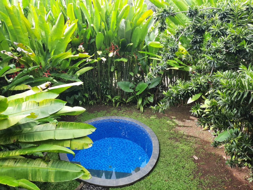 WhatsApp-Image-2025-12-27-at-11.08.08-2-1024x768 Kusfarm Bali, Hidden Gem Penginapan yang Tenang dan Nyaman di Tabanan