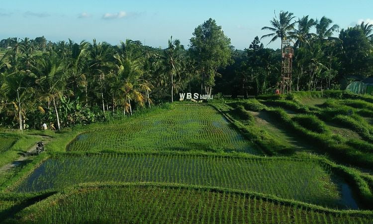 Daya-Tarik-Waterboom-Sidembunut Rekomendasi Berenang dan Bumi Perkemahan di Wahana Waterboom Sidembunut (WBS) Bangli
